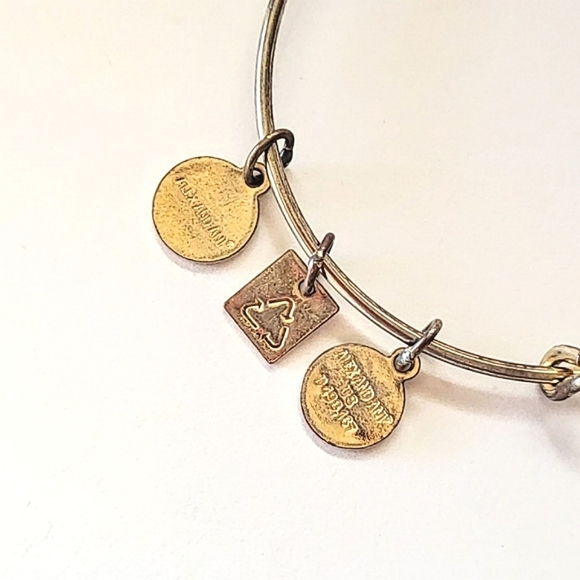 ALEX AND ANI "THE WAY HOME" CHARITY BY DESIGN BANGLE BRACELET - Picture 6 of 7